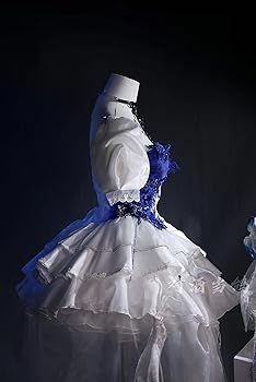 Amazon.co.jp: [アニコレ] 無期迷途 グレイヴ コスプレ衣装(ウィッグ