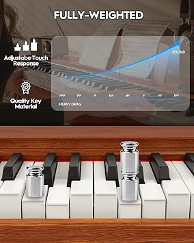 STRICH Digital Piano 88 Keys, Hammer-Action Weighted Keyboard, Full size Electric Piano Keyboard with Stand, 25Wx2 Speakers, Supports USB-MIDI/Wireless Connecting SDP-300S (Color Mahogany)