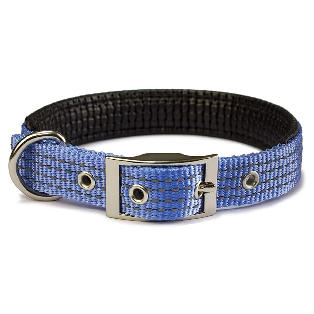 Arquivet Collar nylon liso azul cielo - 2,5 x 53 cm