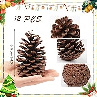 Vista 2 de 12 piñas de 3 a 4.5 pulgadas de alto, paquete a granel en una caja protectora, totalmente naturales, sin insectos, adornos de piñas grandes