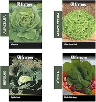 Kit 4 Sementes Hortaliças Salada Horta Em Casa Jardins Vasos(Alface Crespa, Alface Lisa, Repolho, Rúcula)