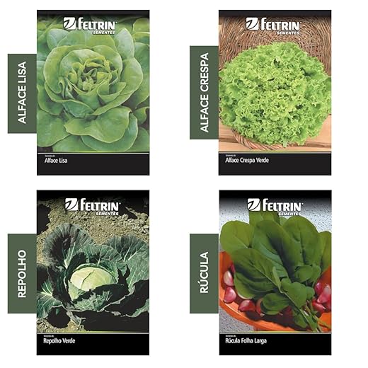 Kit 4 Sementes Hortaliças Salada Horta Em Casa Jardins Vasos(Alface Crespa, Alface Lisa, Repolho, Rúcula)