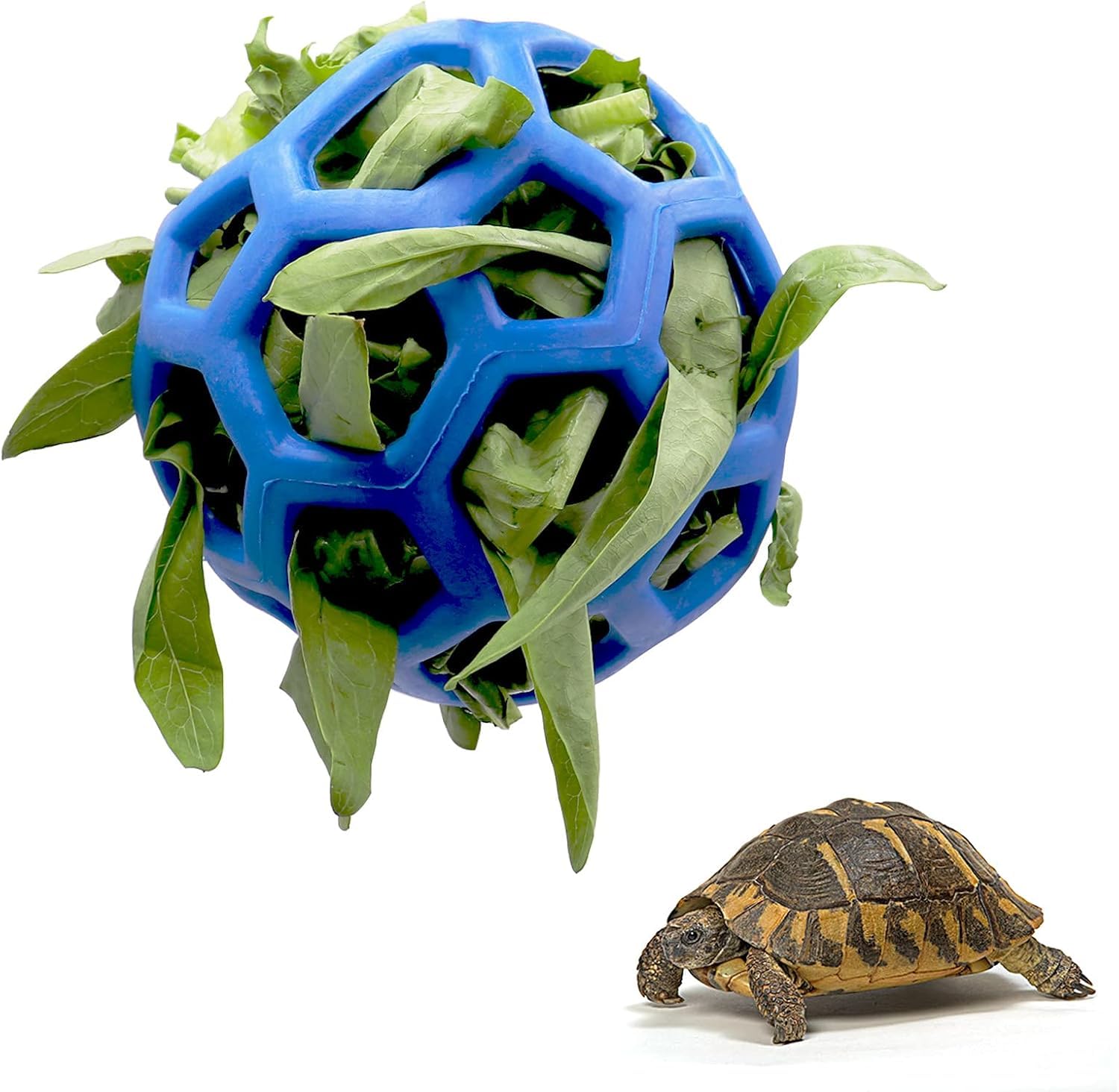 Tortoise Treat Ball Toy Hay Feeder Hanging Feeding Grass Fruit Vegetable Feeder Holder Foraging Toy for Small Animals Pet Tortoise Turtle for tortoise (Blue)