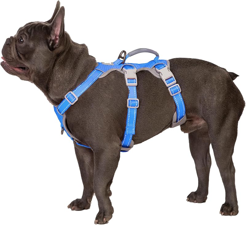 Peitoral Vest para Cães Huntboo com Alça, Refletivo e Ajustável Sea Blue M