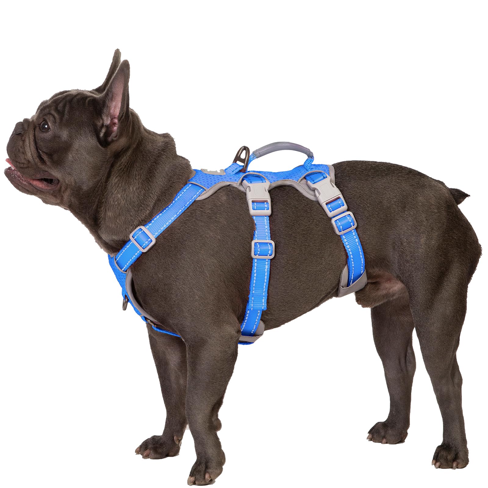 Huntboo Escape Proof Dog Harness, Secure Dog Harness No Escape, Fully Reflective Harness with Handle,Breathable,Durable, Adjustable Vest for Small Dogs Walking, Training,and Running Gear (Sea Blue,S) โ image 1