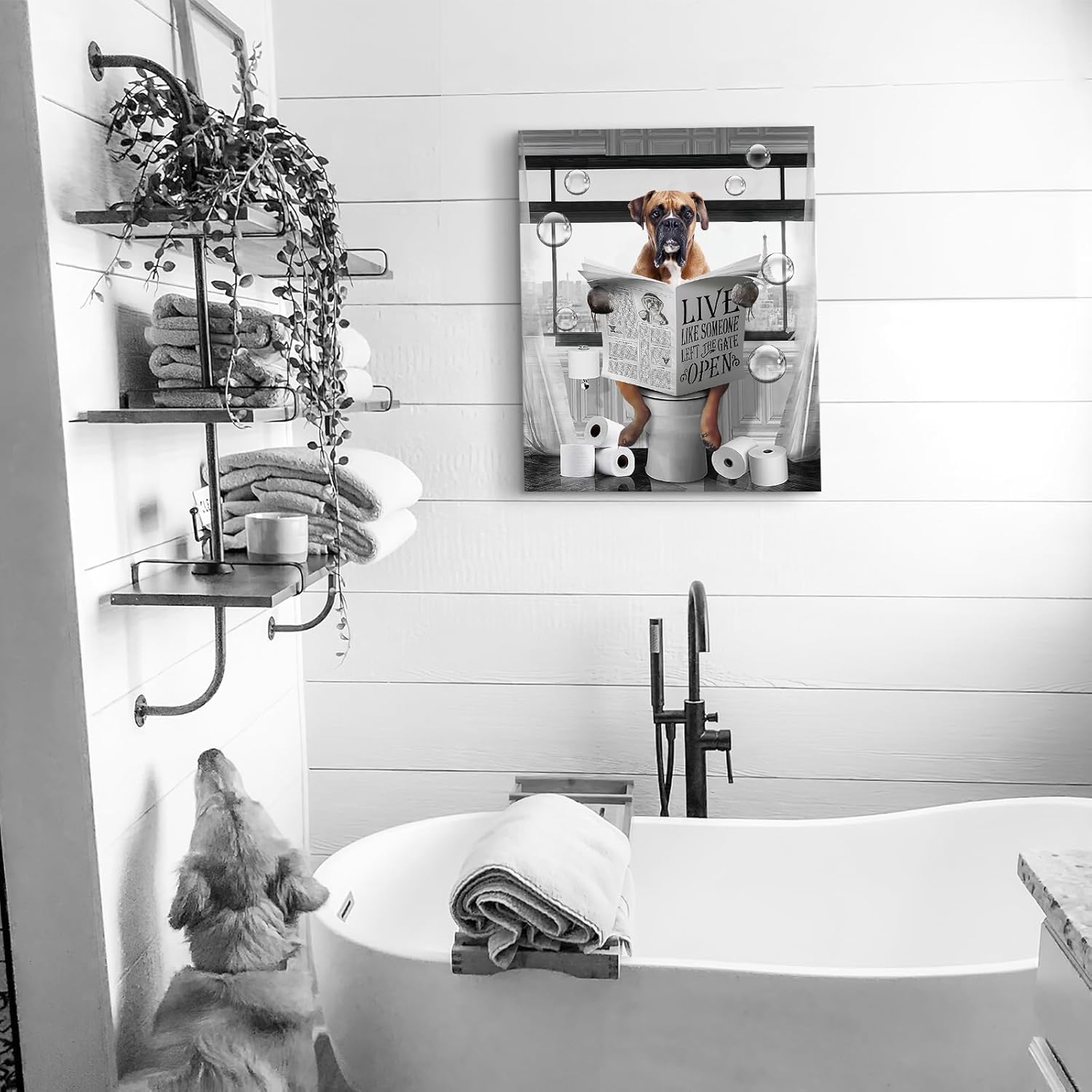 Luslya Funny Boxer Dog Bathroom Decor - Wall Art: Cute Sitting in Toilet Reading Newspaper - Black and White Framed Poster (16x24 inch)