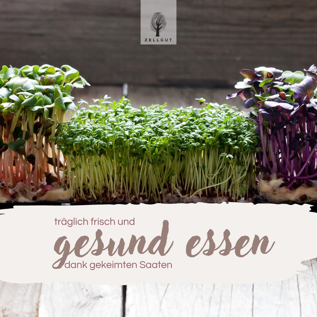 Kressesieb, Kresse Anzuchtschale, Keimschale - 12cm - Keramikschale + Edelstahlsieb - Keimgerät für die Anzucht von Microgreens, Keimsaaten