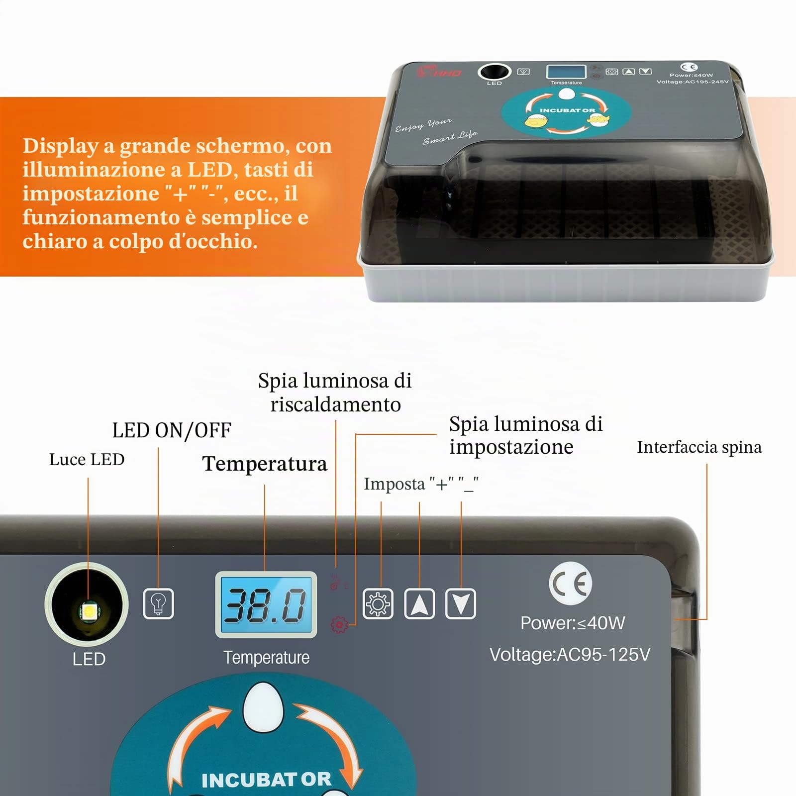 Incubatrice a 12 Uova con Inverter D'Uovo Automatico Integrato e Uova a Controllo Della Temperatura Rooter Di Pollame per Pollo di Quaglia Oca D'Anatra Piccione Uccello (Eu Plug)