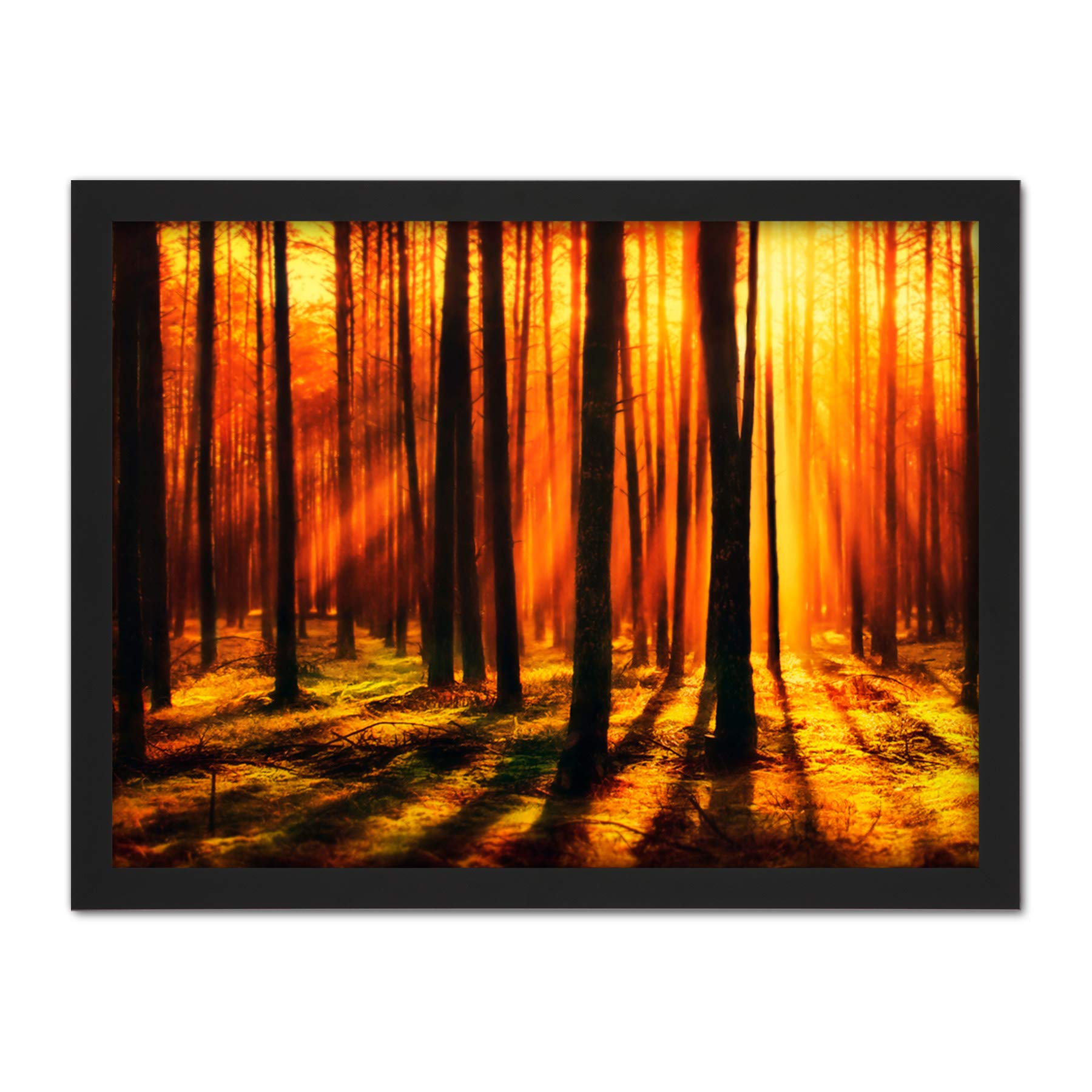 Artery8 Forest Sunset Nature Photograph Artwork Framed Wall Art Print 18X24 Inch