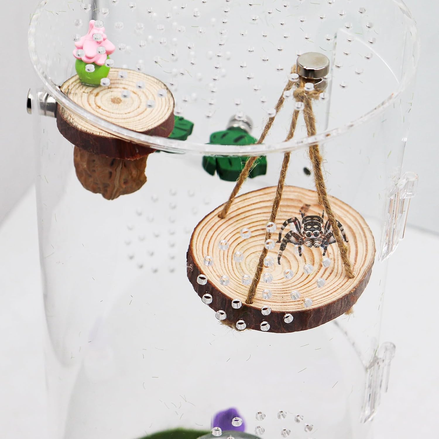 Jumping Spider Enclosure Accessories, Wooden Swing with Rope and Magnet, Jumping Spider Habitat Decor thumbnail