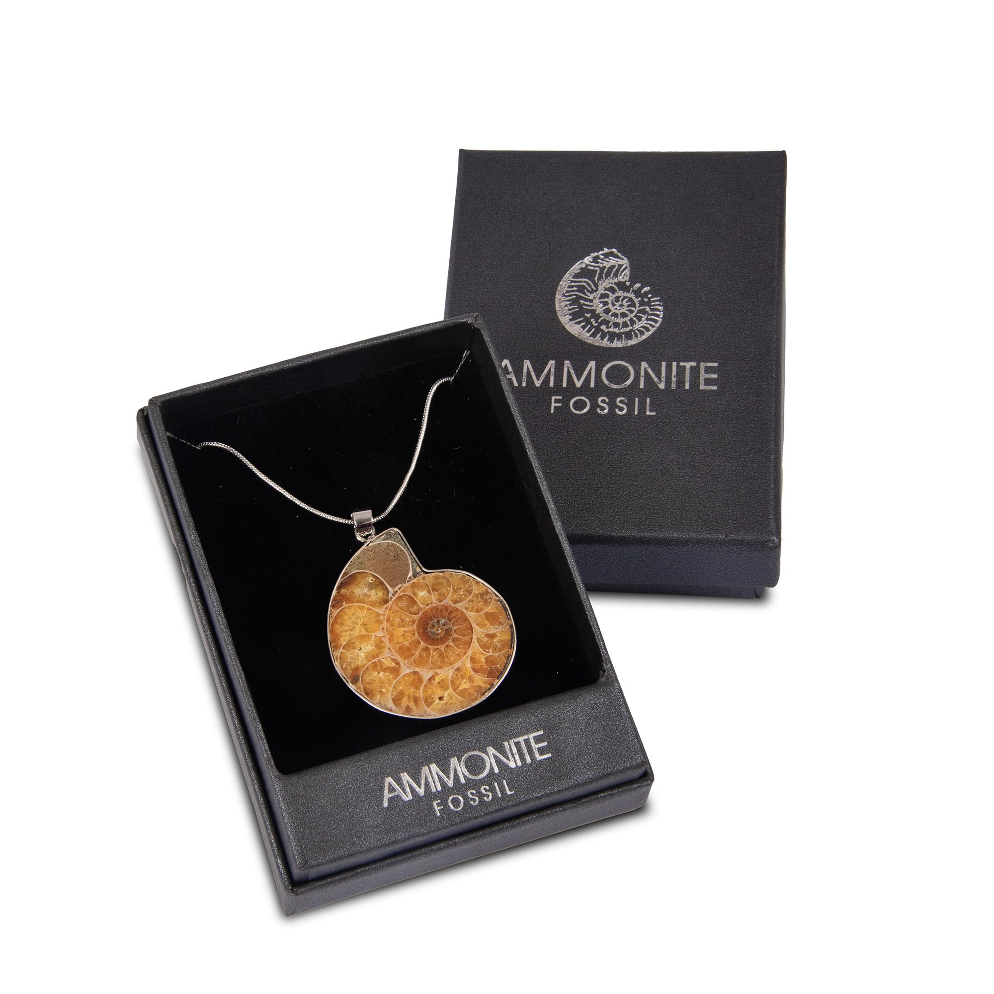 Serafino Collana con ciondolo a forma di ammonite in confezione regalo con cristalli di guarigione e gioielli fossili di milioni di anni