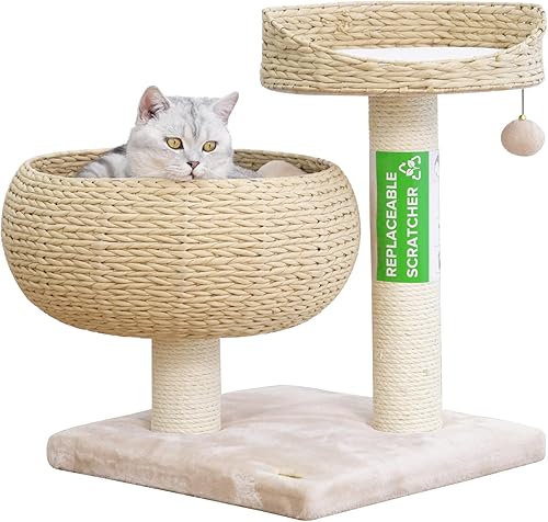 PetPals tazón de cuerda de papel color natural con posadero para gato