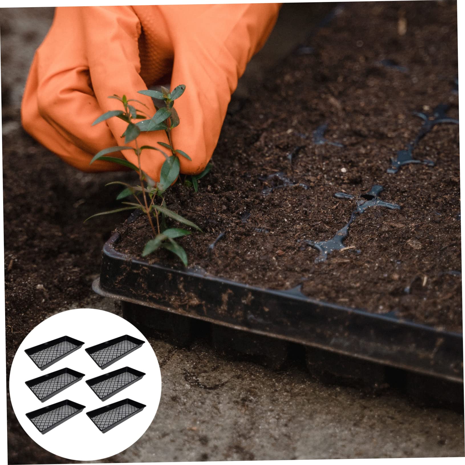 YARNOW 6pièces Plateau de Semis pour Plantes Plaque de Culture Plastique Plateau de Germination pour Micro-pousses