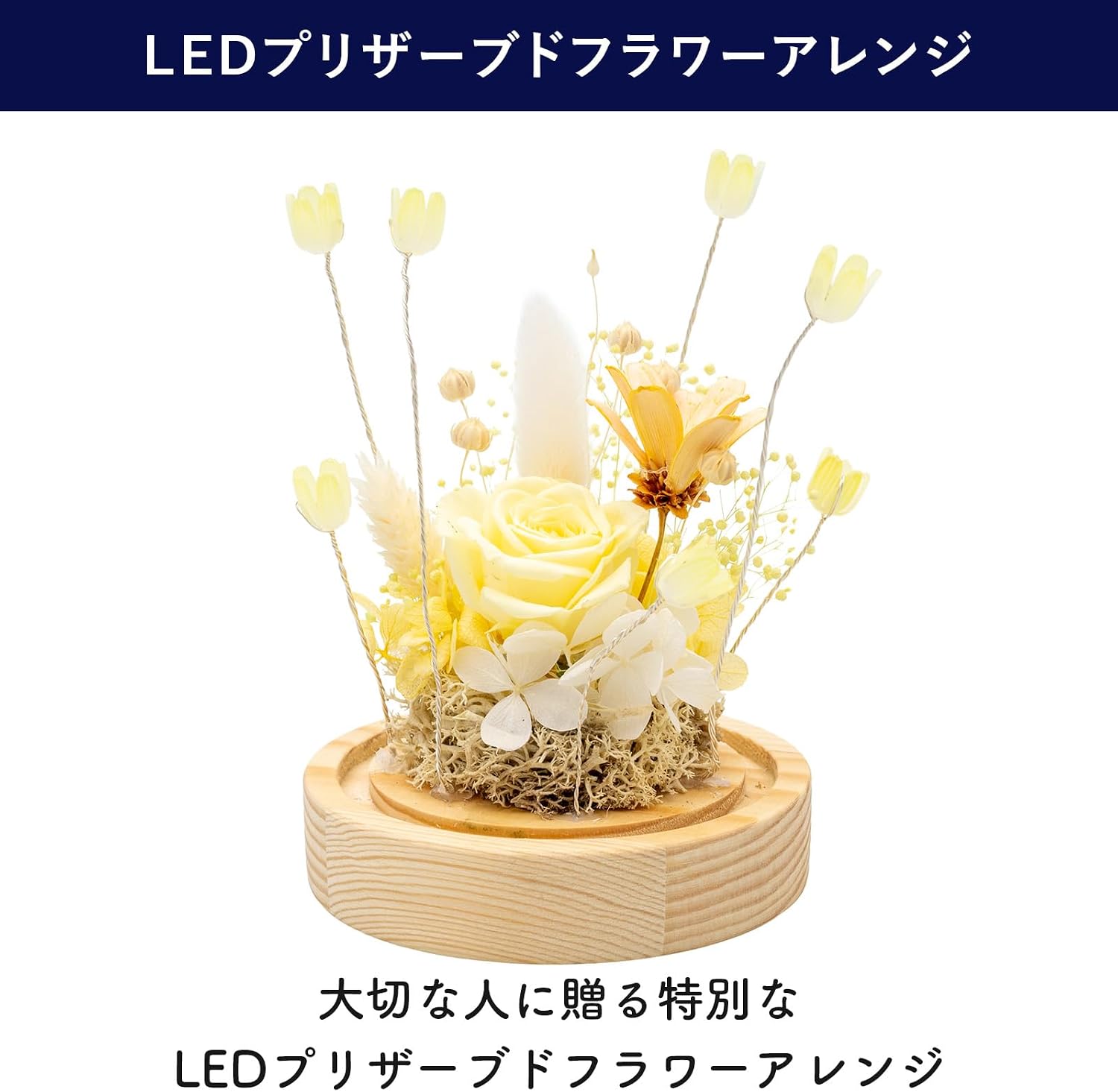 PD Collection Preserved Flower, Rose, Made in Japan, LED Light, Flower Gift, Gift, Present, Celebration, Birthday, Anniversary, Mother's Day, Women, Mother, Wife, Girlfriend, 6.9 inches (15 mm) x