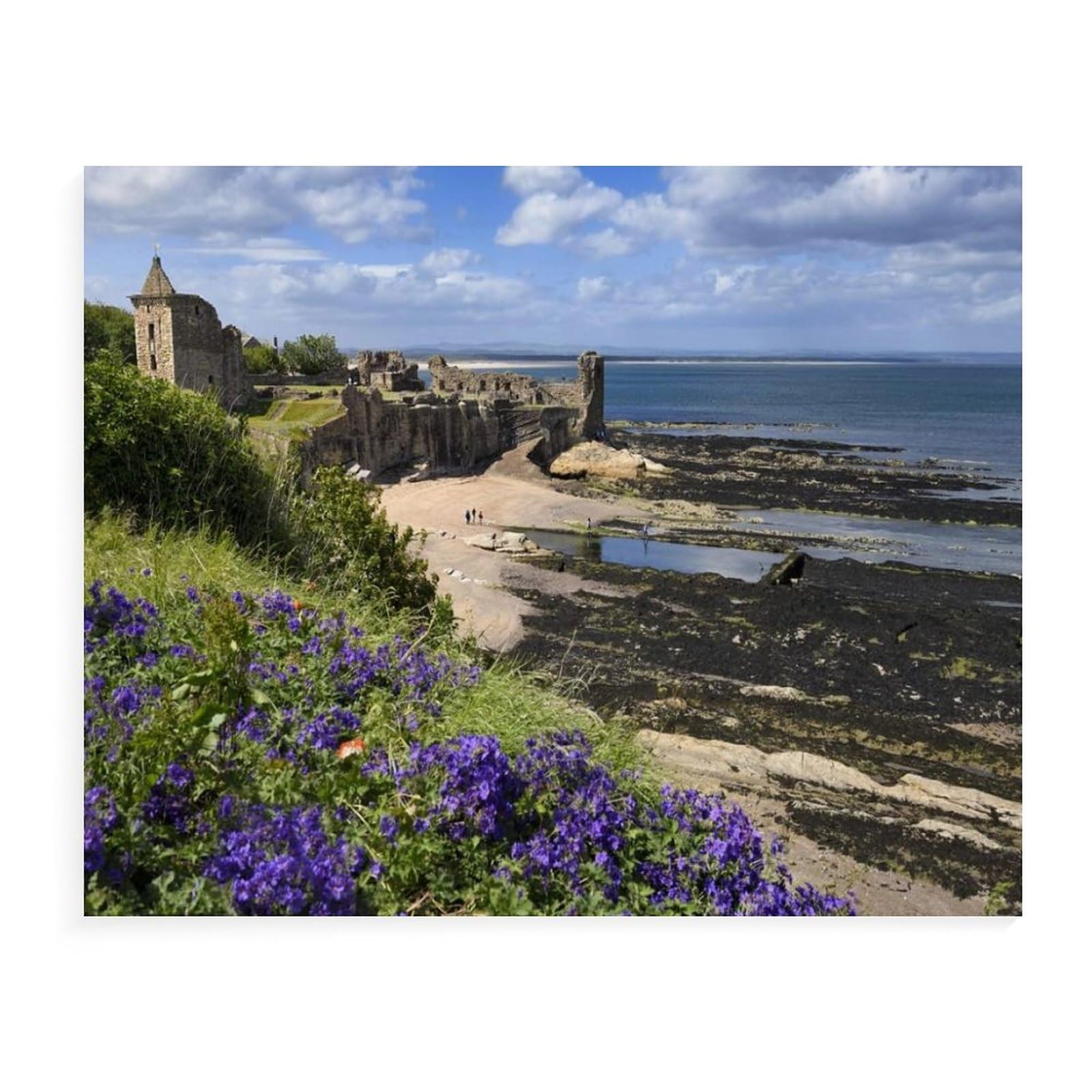 Jigsaw Puzzles for Adults 1000 Piece,Castle beach,Classic Puzzle Difficult Puzzle for Adult Teenagers Leisure Fun Game Toy Suitable for Family Decorative(38x26cm)-58 — image 1