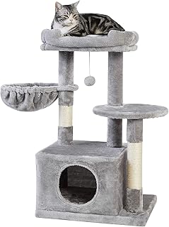 cat gym amazon