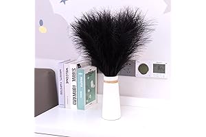 Black Pampas Grassgrass - 8 Stems of Envy-Inducing Floral Decor