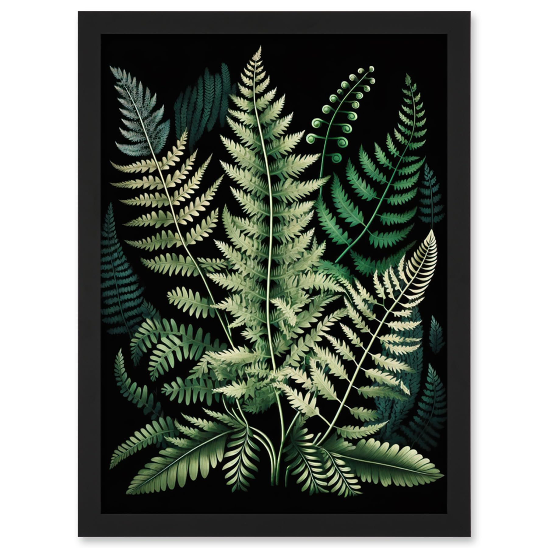 Framed Wall Art Print A4 - Different Fern Fronds Detailed Leaves Illustration Artwork - Artery8