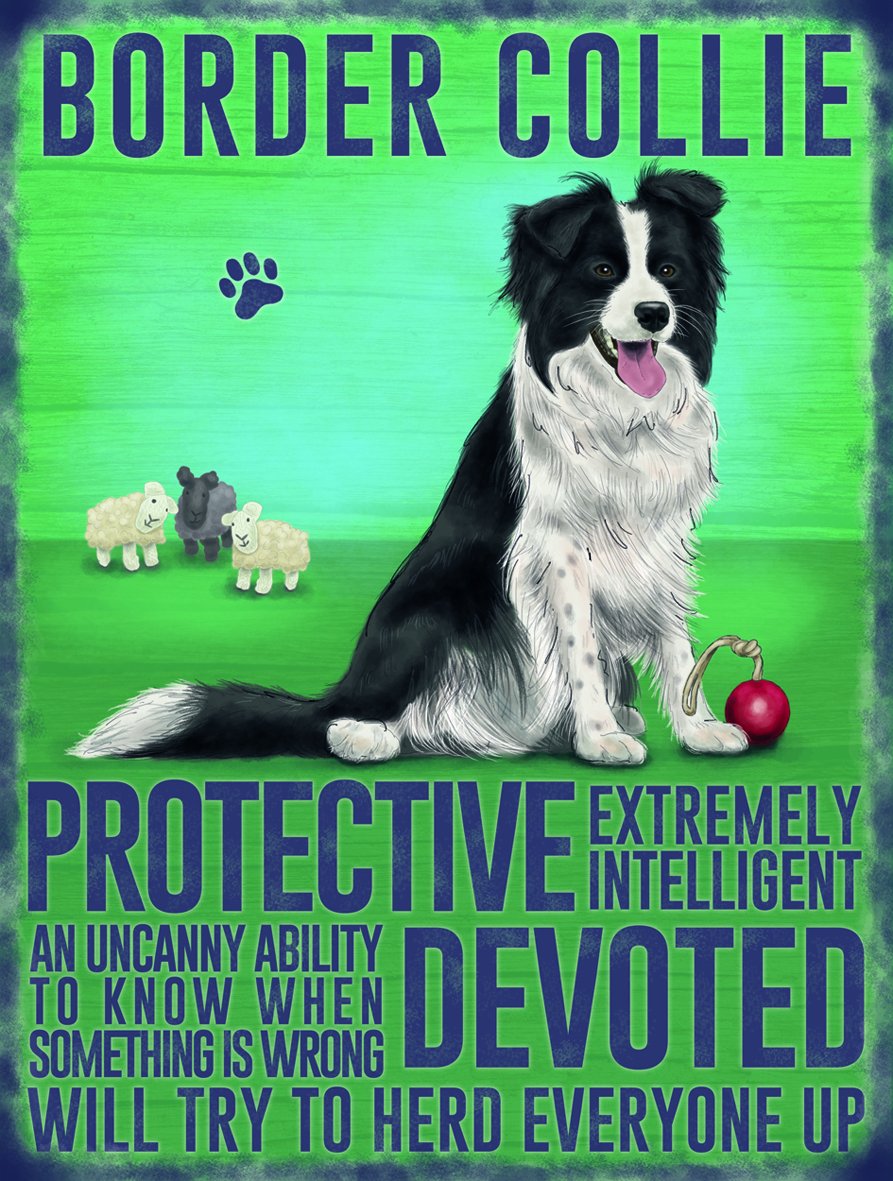 The Original Metal Sign Multicolor Fridge Magnet - Border Collie Dog