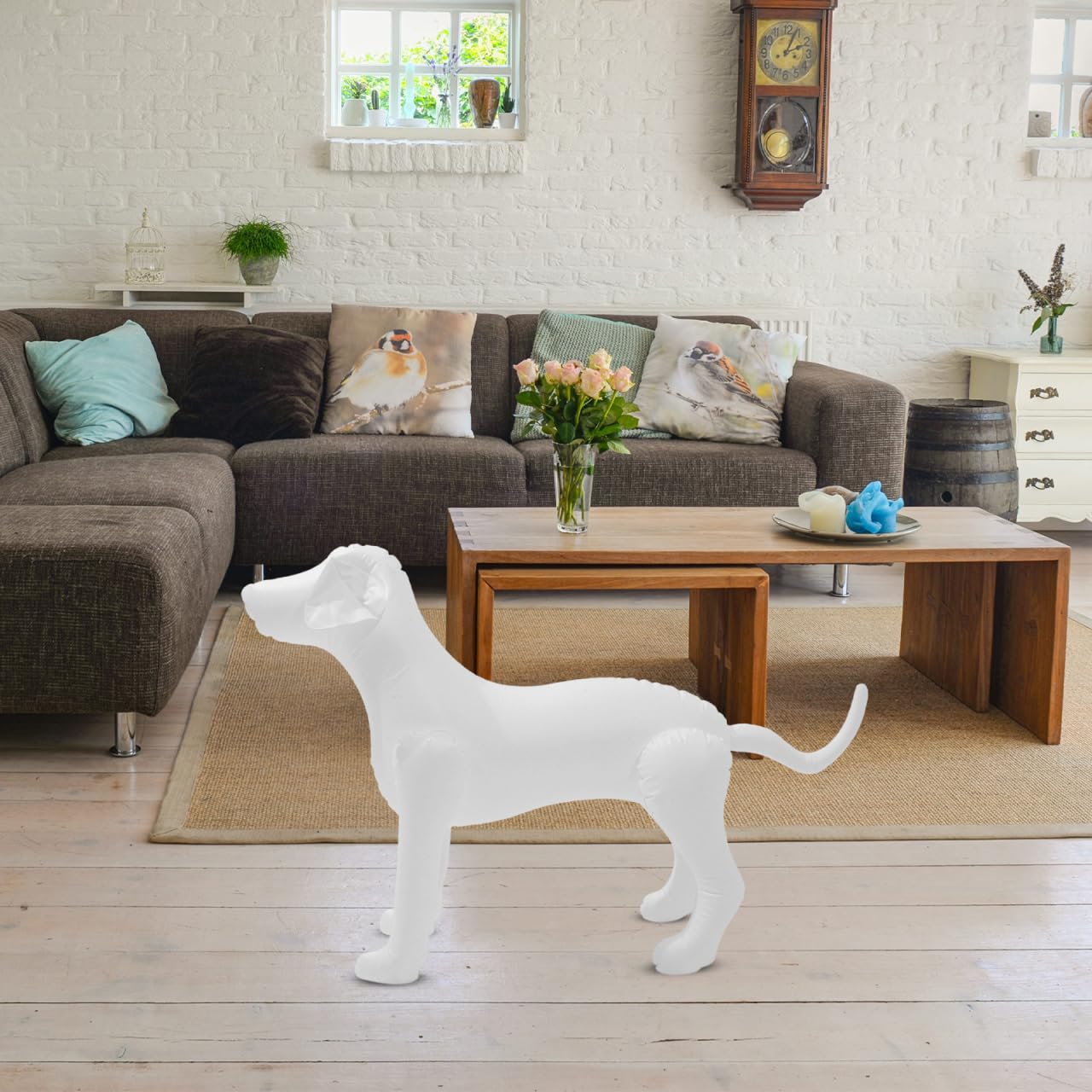 iplusmile Mannequin gonflable pour chien: Chien gonflable en PVC pour l'affichage de vêtements de chien