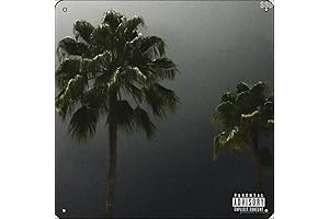 $outh $ide $uicide album cover Photographic Print Metal Sign 12"x12"