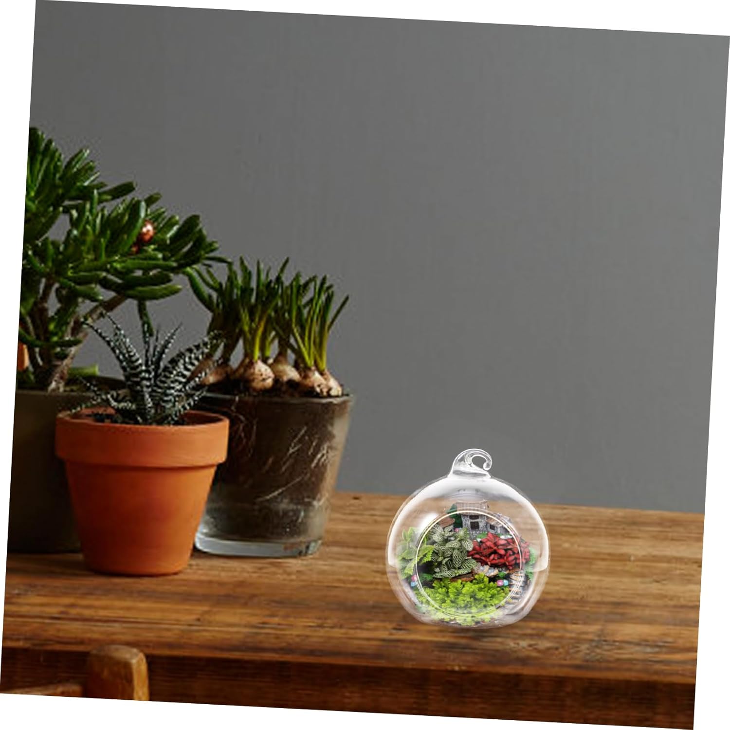 12pcs Clear Glass Hanging Terrarium Decorative for Succulents Air Plants Micro Landscape for Home Office Balcony Garden Decor