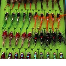 Fly Fishing Flies Assortment Kit Dry Wet Nyphms Tenkara Popper Streamer Woolly Bugger for Trout Bass Salmon Steelhead with Fly Box (60PCS BH-Nymphs Set)