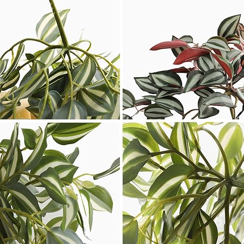 Miniatura 4 de ALINREDBX Plantas artificiales colgantes de 17.7 in, plantas de vides falsas para decoración de interiores y exteriores, hojas colgantes