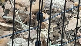 Review Image by Bezli Bezli