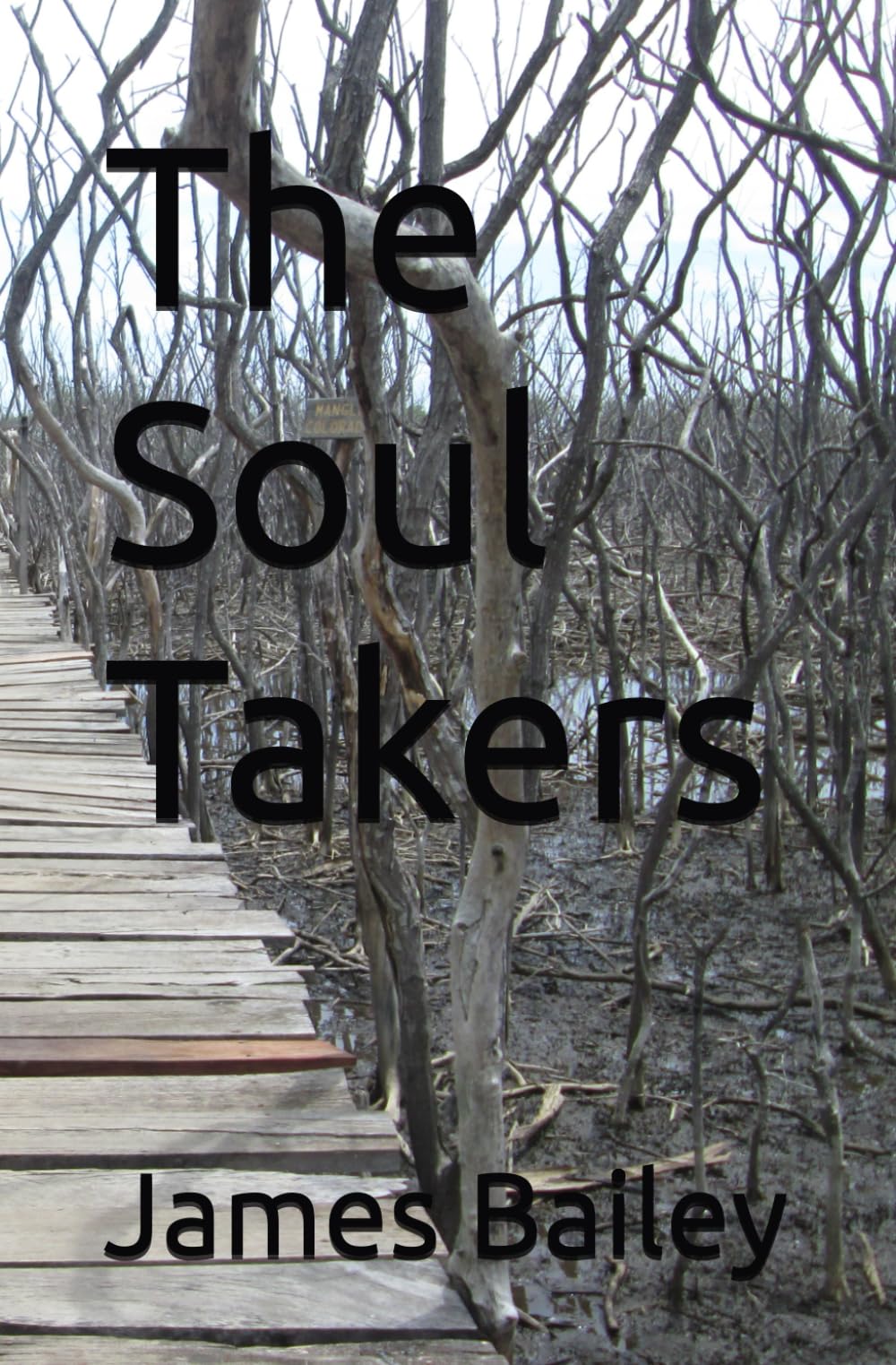 The Soul Takers