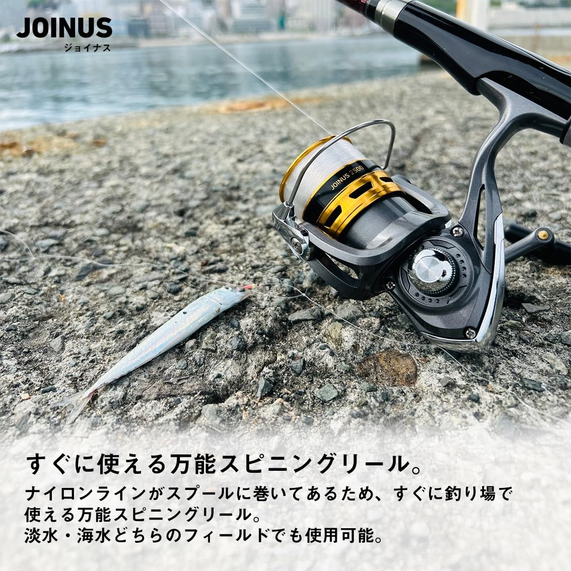 Amazon | ダイワ(DAIWA) スピニングリール(糸付き) 16