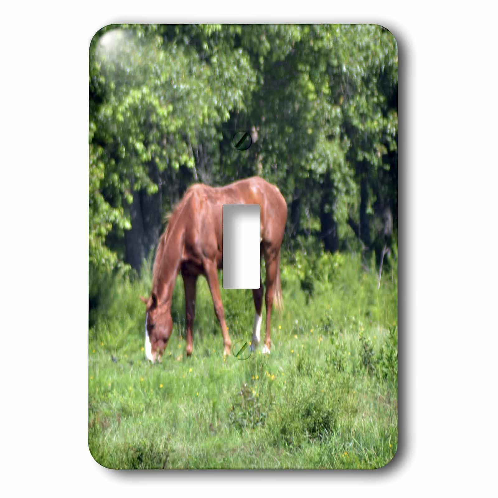 Interrupteur à baïonnette décoratif cheval pour remplacer plaque unie
