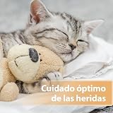 Ver la foto 5