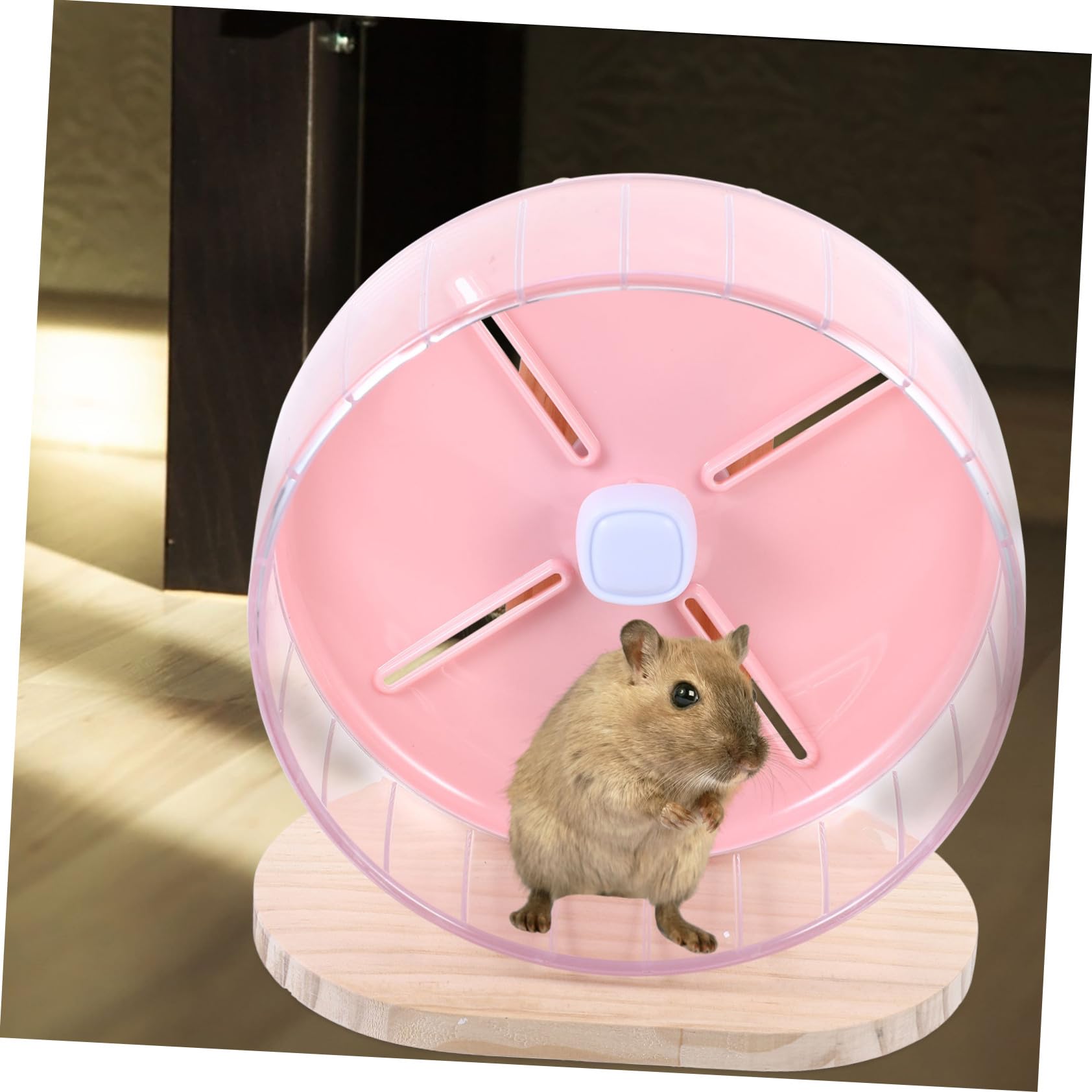 Hamster Zubehör Leises Laufrad für Kleine Haustiere mit Abs und Holz Kompaktes Chinchilla Laufrad zur Beschäftigung und Platzsparend