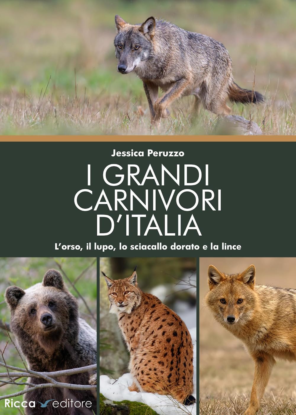 I grandi carnivori d'Italia