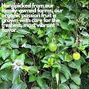 Passion Fruit Juice Concentrate (Organically Grown | Single Origin | Farm to Table) 450 ml - No Artificial Preservatives | No added Colours or Flavours gallery image