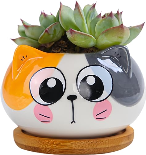 Cuteforyou Macetas para suculentas, bonitas macetas de cerámica con forma de animal con bandeja de bambú, planta no incluida (gato)