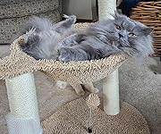 Review Image by Amazon Customer Amazon Customer