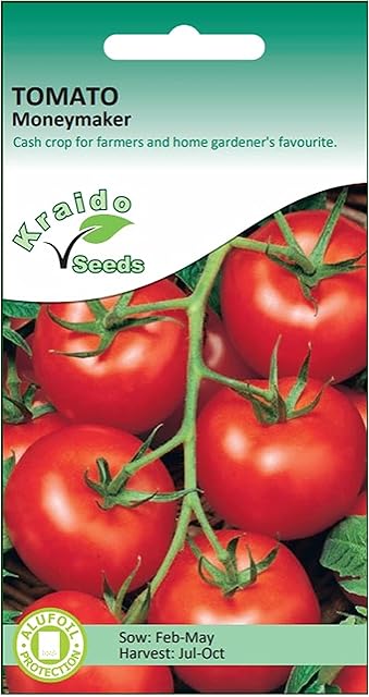 Kraido Red Tomato Seeds Moneymaker (Solanum Lycopersicum) Grow Your Own Vegetable Whether Indoors in a Greenhouse or Outdoors in Your Garden or in a Growbag