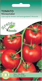 Kraido Red Tomato Seeds Moneymaker Solanum Lycopersicum 150 Seeds Grow Your Own Vegetables Ideal for Greenhouse or Garden Growing in Raised Beds Polytunnel Growbags or in Large Pots and Containers