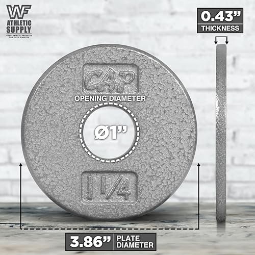 Miniatura 2 de WF Athletic Supply Placas de pesas tradicionales y clásicas de hierro fundido sólido de 1 pulgada, ideales para entrenamiento de fuerza,