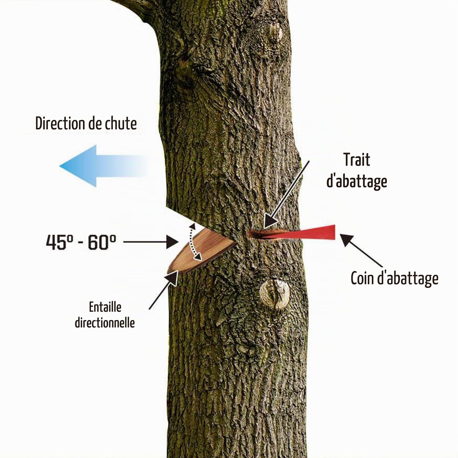 6 Pièces Coin D'Abattage pour TronçOnneuse avec Pointes pour un Abattage SûR, ABS Coins éclateurs pour jardinage avec Poche, Robuste et Durable, Outil Accessoire Pour Bûcheron (6 Pouces)