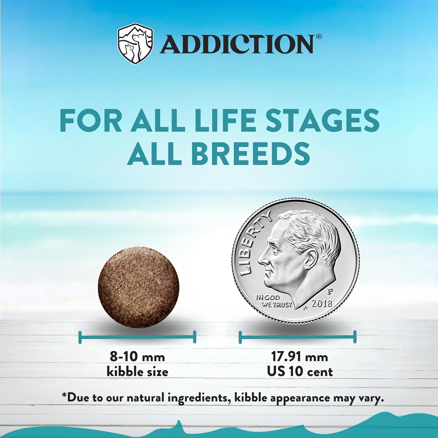Addiction Salmon Bleu Grain-Free Dry Cat Food – Rich in Omega-3 for Healthy Skin & Coat – Complete & Balanced Salmon Recipe for All Life Stages – Made in New Zealand 4lbs (2 Packs)