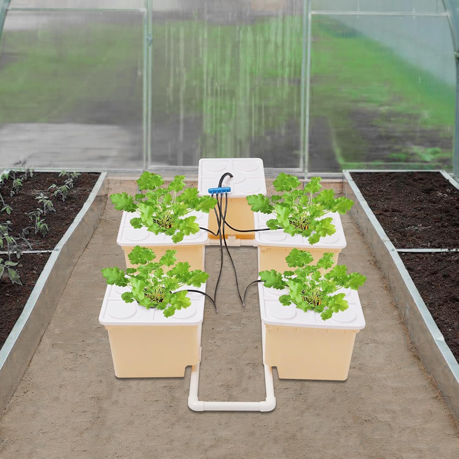 DWC Hydroponics Grow System with Top Drip Kit, Plant Buckets Kit, 3-Gallon Water Culture, Recirculating Drip Garden System with Multi-Purpose Multi-Purpose Air Hose, Air Pump, and Air Stone