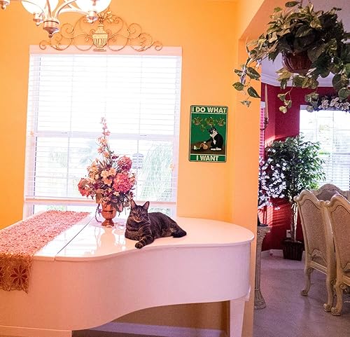 Miniatura 5 de KONMPFEY Cartel de metal divertido para los amantes de los gatos póster de pared con texto en inglés I Do What I Want Art decoración de gato para