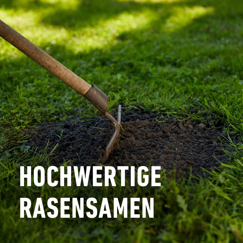 Compo SAAT Strapazier-Rasen 1 kg