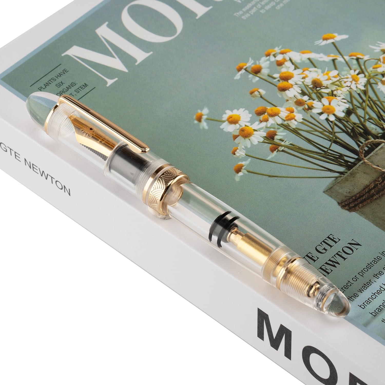 Amazon.com : erofa Majohn P140 Fountain Pen O.8 Medium Nib