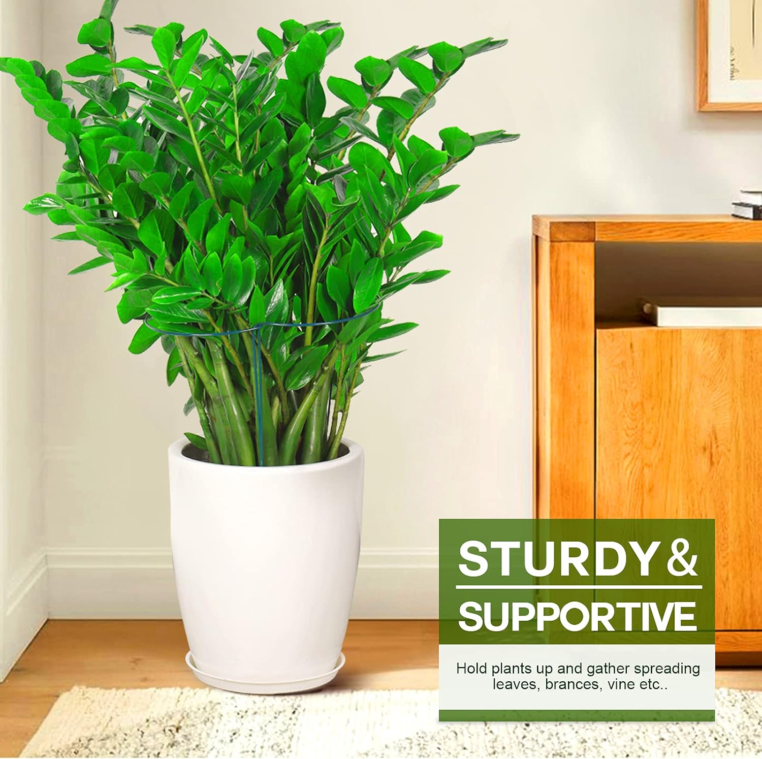 Green Metal Plant Support Stakes for Outdoor Plants, 15.7" H