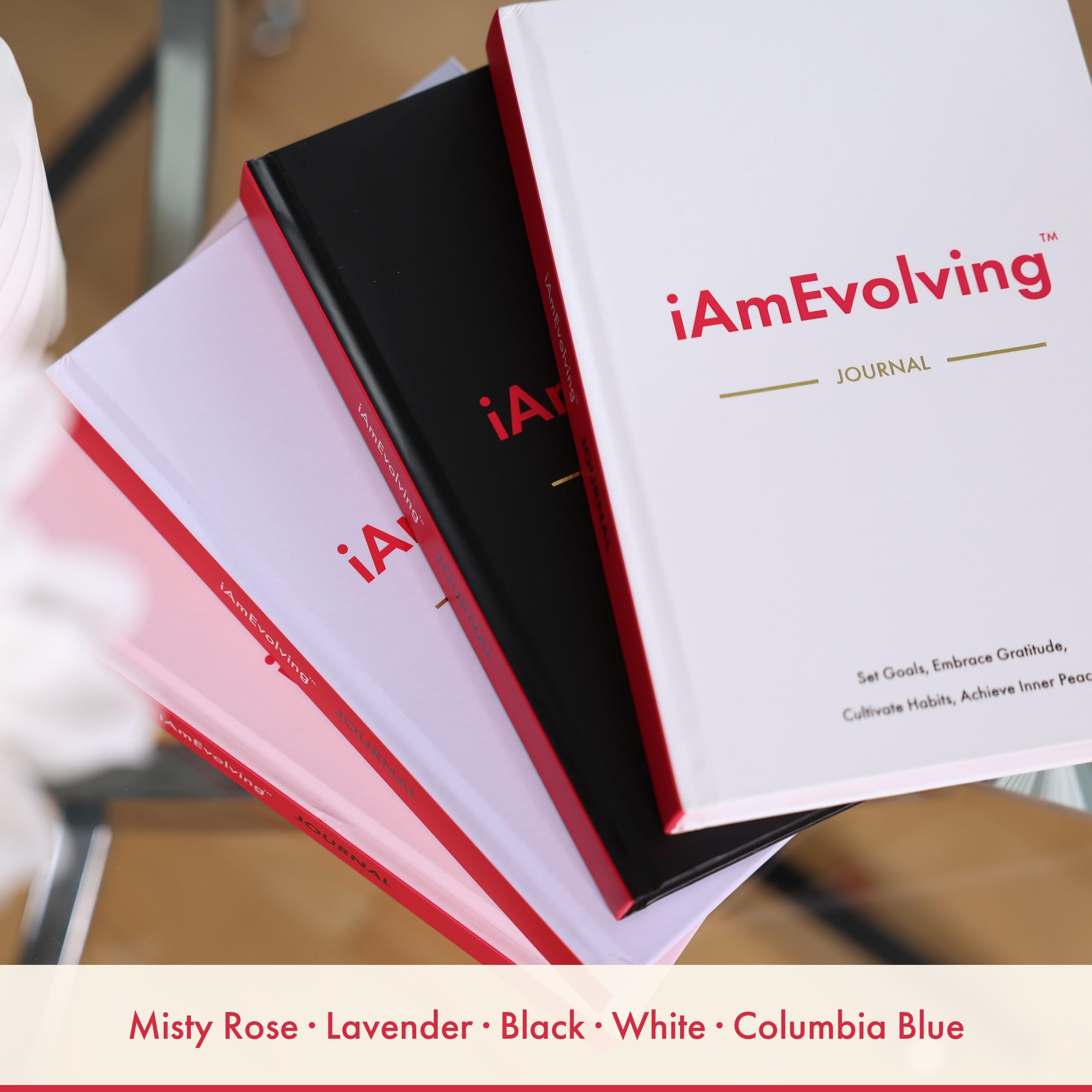 Diario I AM Evolving: establece metas, abraza la gratitud, cultiva hábitos, logra la paz interior | Diario de gratitud sin fecha para desarrollo personal, atención plena y reflexión diaria (negro)