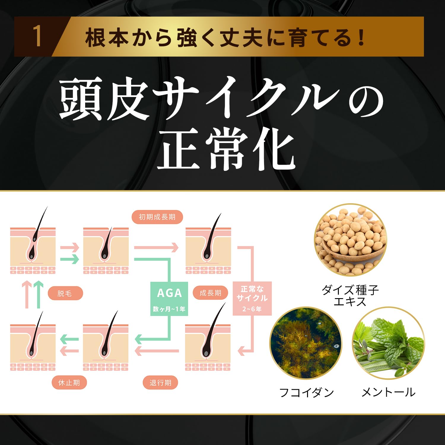 Amazon | バイオテック【育毛サロン開発】プレミアム スカルプ
